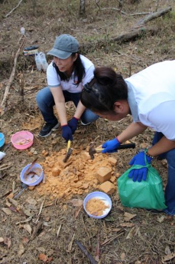 กลุ่มพนักงาน เกลือพิมาย จำกัด ทำกิจกรรม “โป่งเกลือ เพื่อสัตว์ป่า” ณ หน่วยพิทักษ์อุทยานแห่งชาติเขาใหญ่ (ผากระดาษ)