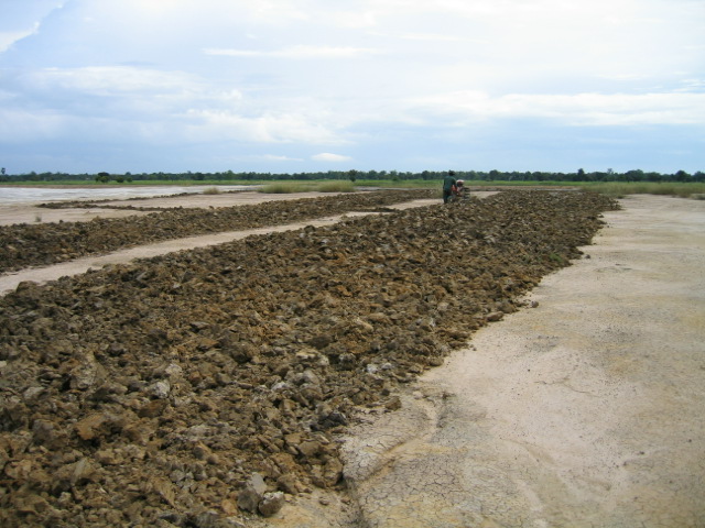 Organic matter was added into the soil to decrease the salinity problem.